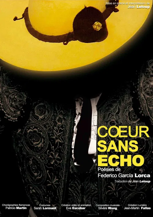 Affiche de Coeur sans écho