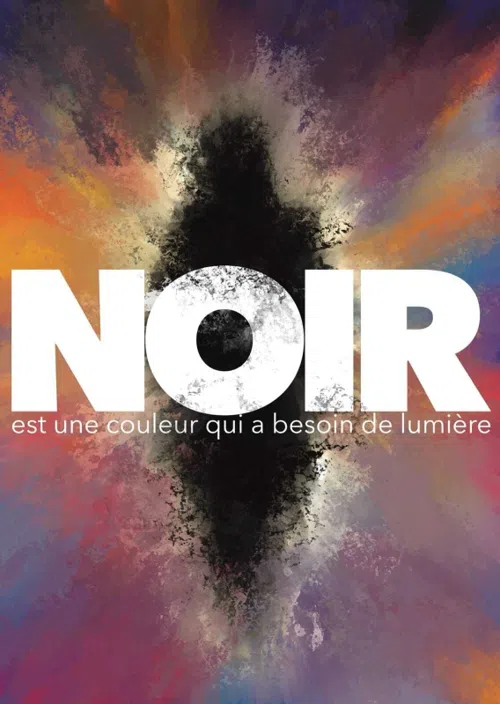 Affiche de Noir