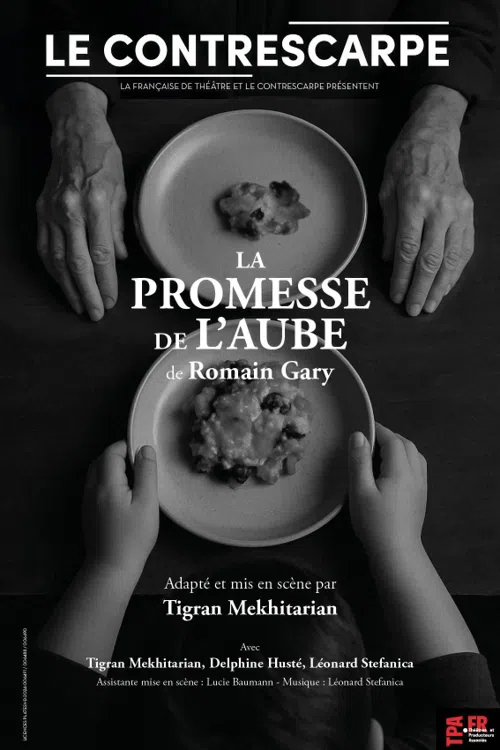 Affiche de La Promesse de l'Aube