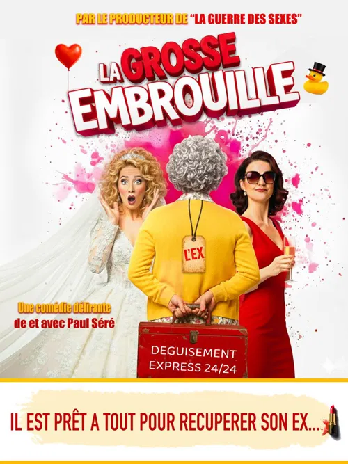 Affiche de La grosse embrouille