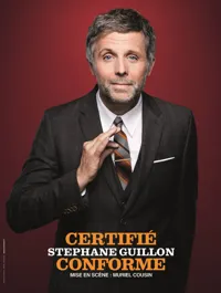 Stéphane Guillon dans Certifié conforme - 
