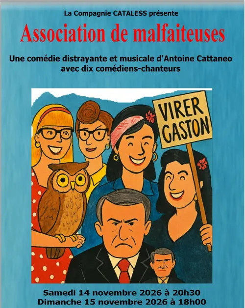 Affiche de Association de malfaiteuses