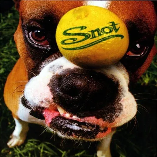 Affiche de SNOT + Breed Machine
