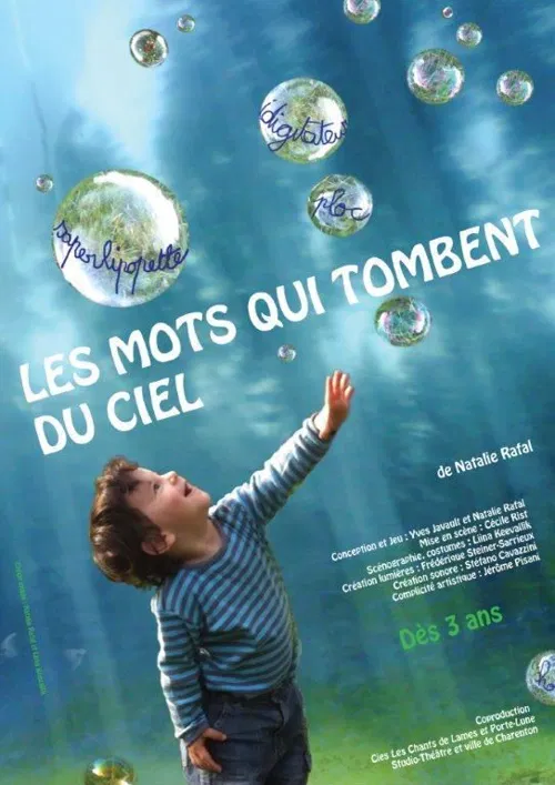 Affiche de Les mots qui tombent du ciel