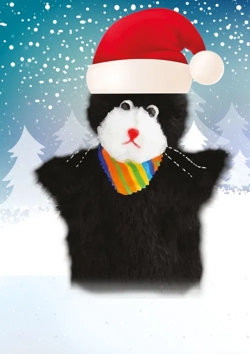 Affiche de Le Noël de Patachon