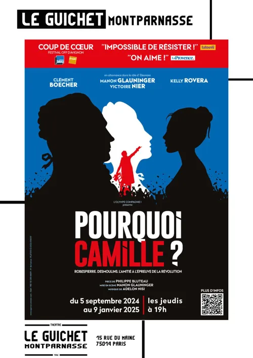 Affiche de Pourquoi Camille ?