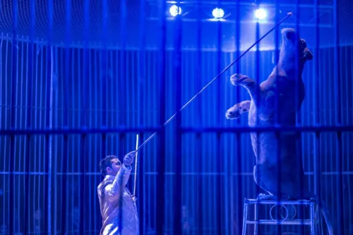 Photo 1 de Cirque Sébastien Zavatta | Plaine-sur-Mer