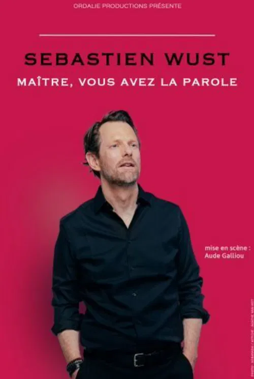 Affiche de Sébastien Wust dans Maître, vous avez la parole