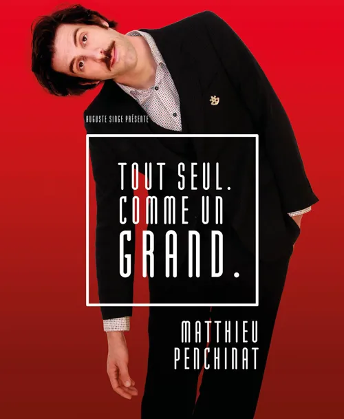 Affiche de Matthieu Penchinat dans Tout seul comme un grand