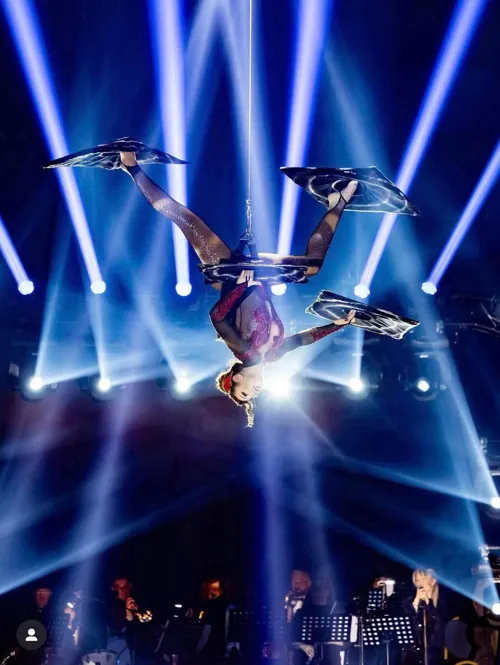 Photo 2 de Le Cirque de Noël de Dimy