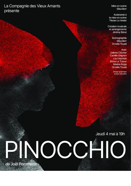 Affiche de Pinocchio