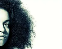Atelier coiffure sur cheveux naturels (type afro) - 