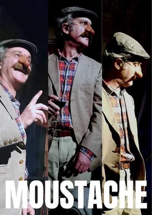 Affiche de Moustache