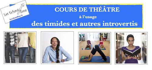 Affiche de Cours d'essai de théâtre à l'usage des timides