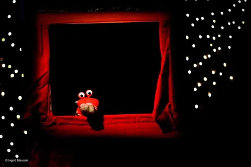 Photo 1 de Une lumière pour Noël