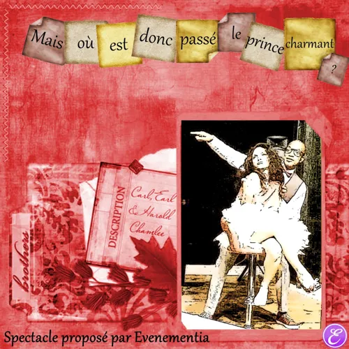 Affiche de Mais où est donc passé le prince charmant ?