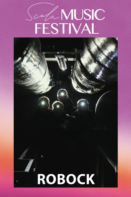 Affiche de Robock