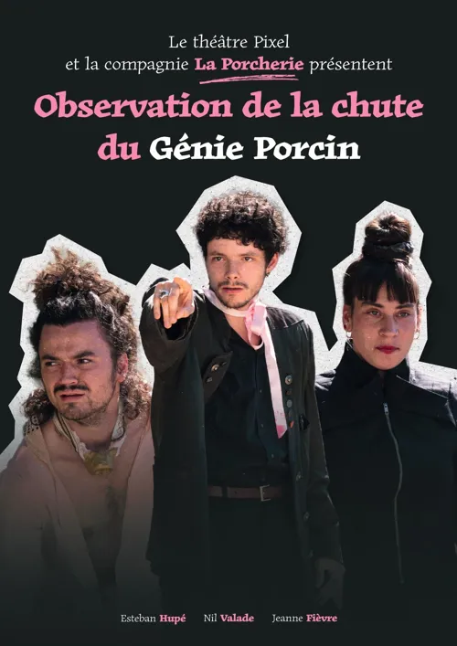 Affiche de Observation de la chute du génie porcin