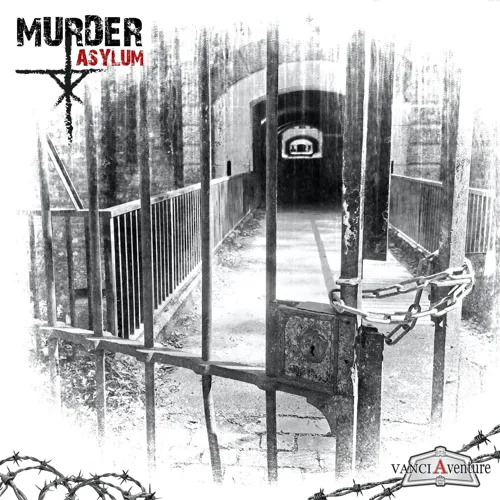 Affiche de Murder Asylum