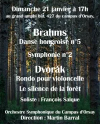 Brahms et Dvorak - 