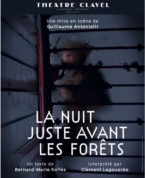 Affiche de La Nuit Juste avant les forêts