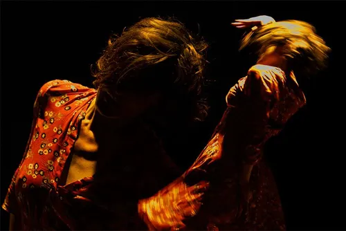 Photo 3 de Le rêve d'une danse
