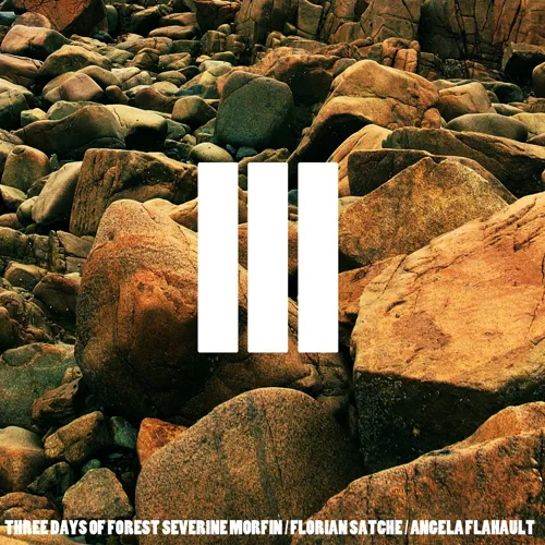 Affiche de Three days of Forest