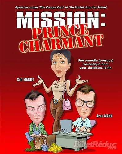 Affiche de Mission : prince charmant