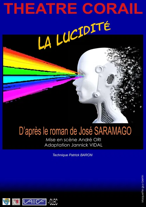 Affiche de La lucidité