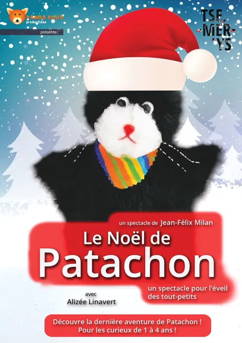 Affiche de Le Noël de Patachon