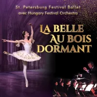 La belle au bois dormant - 