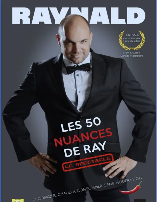 Affiche de Raynald dans Les 50 nuances de Ray