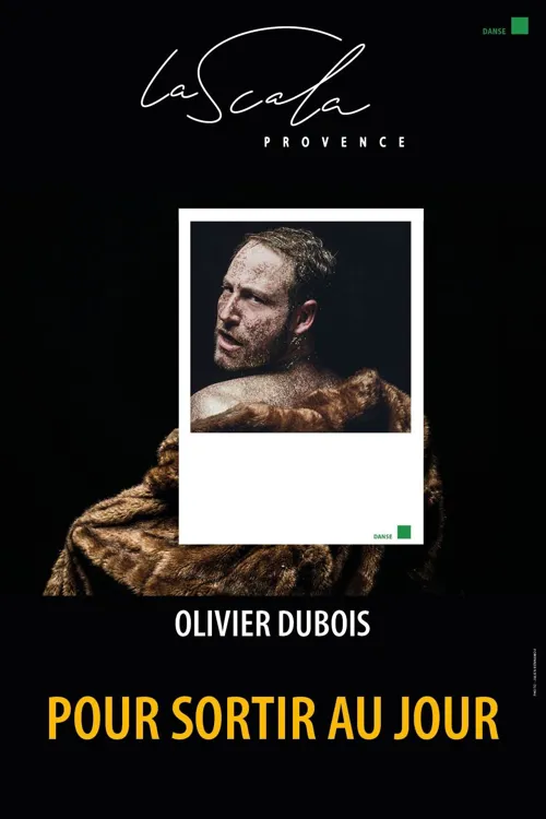 Affiche de Pour sortir au jour