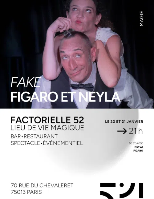 Affiche de Fake