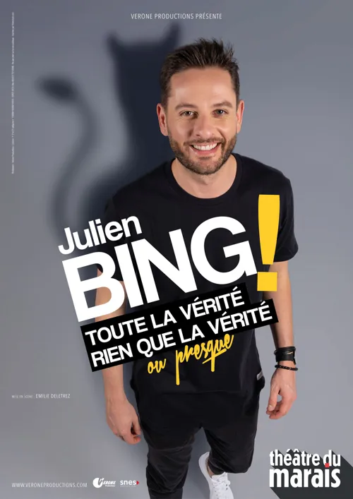 Affiche de Julien Bing dans Toute la vérité, rien que la vérité, ou presque