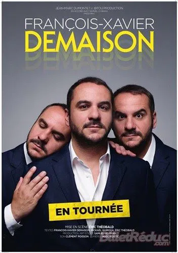 Affiche de François-Xavier Demaison | Nouveau Spectacle