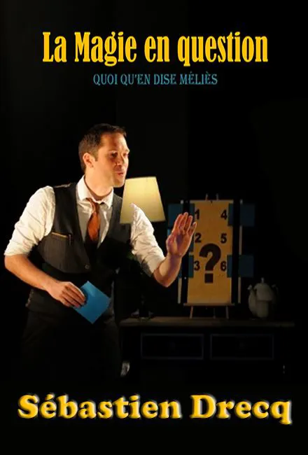 Affiche de La magie en question
