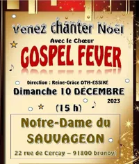 Concert de Noel des Gospel Fever - 