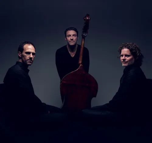 Affiche de Mats Eilertsen Trio
