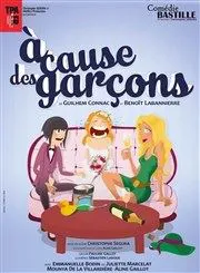 Affiche de À cause des garçons
