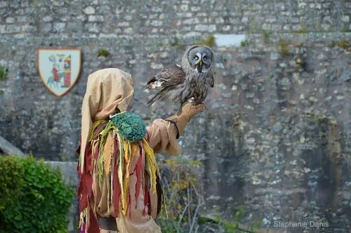 Les Aigles des Remparts