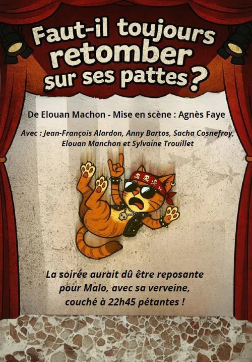Affiche de Faut-il toujours retomber sur ses pattes ?