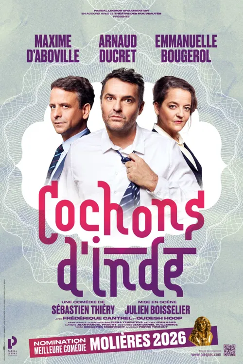 Affiche de Cochons d'Inde