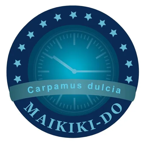 Affiche de Maikiki-Do Workshop