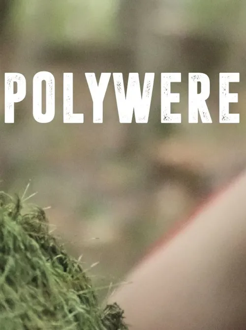 Affiche de Polywere