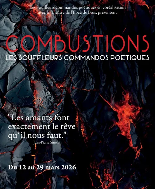 Affiche de Combustions