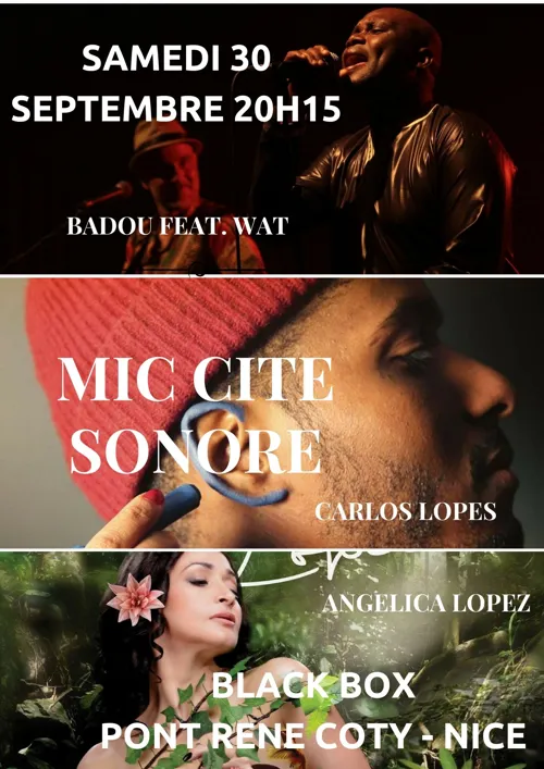 Photo 4 de Mic Cité sonore