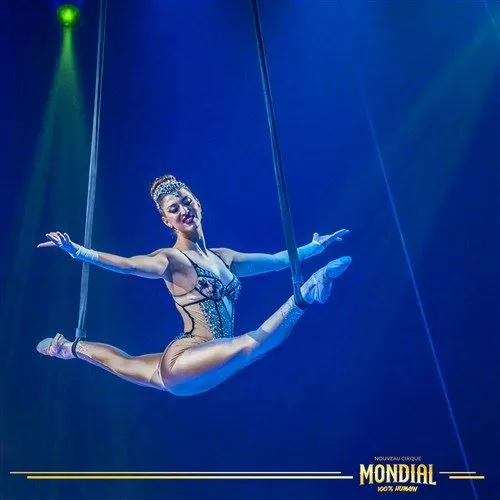 Photo 1 de Cirque Mondial 100% Humain | Lyon