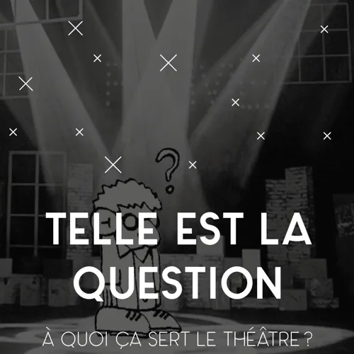 Affiche de Telle est la question