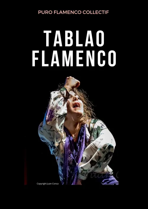 Affiche de Puro Flamenco
